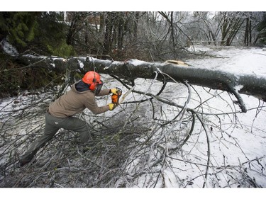 Freezing rain for the past several days has caused tree branches to fall on power lines causing power outagesthroughout the Fraser Valley Saturday, December 30, 2017. Thousands of people are without power in the Mission, Abbotsford and Langley areas and the freezing rain has made traveling treacherous.