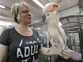 The Greyhaven Exotic Bird Sanctuary is desperately seeking a new home as the lease on their current space ends this month and the warehouse is set to be torn down. Jan Robson of the rescue group is pictured with one of the dozens of birds seeking a new home.