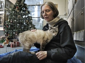 Gwyneth Lewis, a volunteer at the SPCA, with Betty, a cat up for adoption in Vancouver.