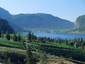 B.C.'s founding GIs like the Okanagan Valley, pictured, will be joined by the emerging wine regions of the Thompson Valley, Shuswap, Lillooet, and Kootenays.