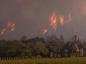 Flames rise behind Ledson Winery on October 14, 2017 in Kenwood, near Santa Rosa, California.