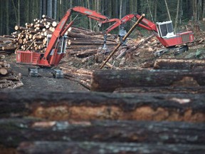 A section of forest is harvested by loggers near Youbou, B.C. Wednesday, Jan. 14, 2015.