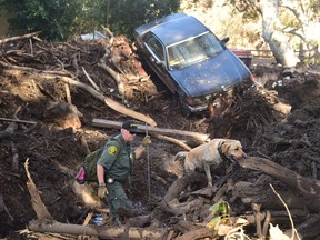 (FILES) This file photo taken on January 12, 2018 shows a member of a search and rescue team and his dog sifting through debris looking for victims on a property in Montecito, California. Search and rescue teams combed the aftermath of a deadly mudslide in southern California on January 14, 2018 as authorities confirmed another death, raising the number of fatalities to 20, officials said.Four people remained missing after the mudslides, according to an update posted on Santa Barbara County's website, which warned that the figure could "fluctuate significantly."