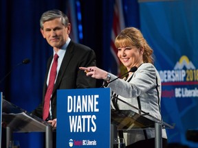 Former MP Dianne Watts exceeded her party's spending cap during the leadership race she subsequently lost to MLA Andrew Wilkinson.