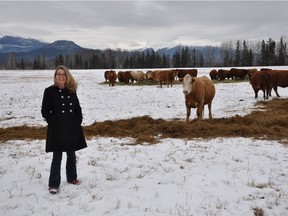 B.C. Agriculture Minister Lana Popham has launched a review to revitalize the Agricultural Land Reserve — and, by doing so, heard from all the Site C critics.