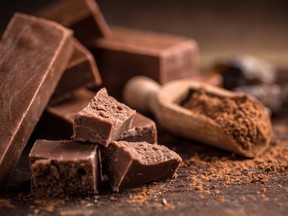 This stock photo shows shattered homemade chocolate with cocoa powder.