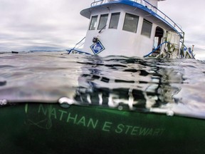 The tug Nathan E. Stewart sank in waters near Bella Bella in October 2016.