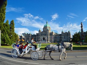 Victoria's iconic horse and carriage industry has been under attack from activists who claim the horses are not properly cared for. [PNG Merlin Archive]