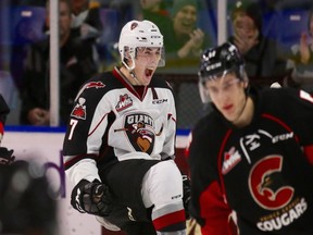 Ty Ronning celebrates a Vancouver Giants' goal.