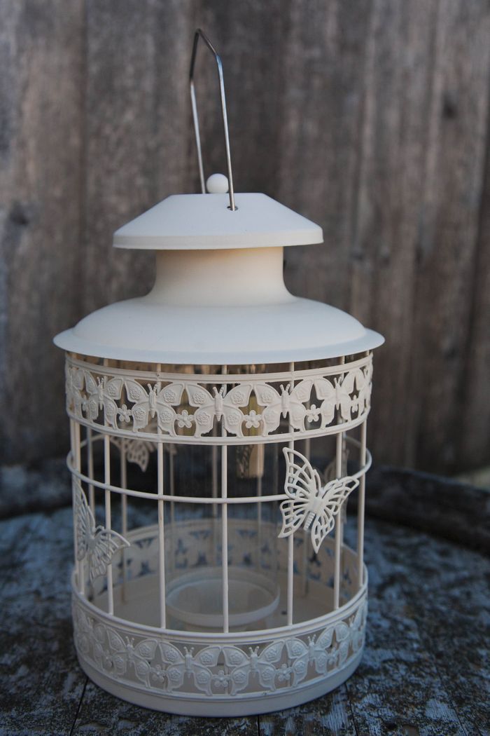 Bring birds into your world with backyard feeders Vancouver Sun