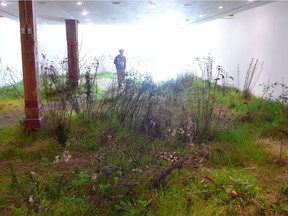 Fallow, soil and plants transplanted from vacant lot, by Germaine Koh. Shown installed at Charles H. Scott Gallery, Vancouver, 2009. Photo: Germaine Koh.