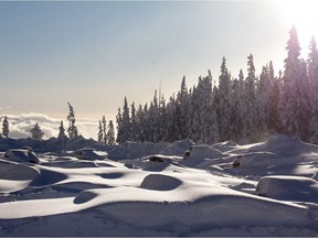 Vehicles covered in snow at Mt. Washington Alpine Resort in B.C. are seen in this undated handout photo. Chairlift operations resumed today on Mount Washington on Vancouver Island after a snowstorm left dozens stranded.