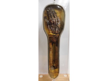 The forearm and hand of Jesuit priest St. Francis Xavier on display at St. Francis Xavier Church in Vancouver