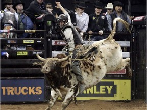 Ty Pozzobon in a 2013 Professional Bull Riders competition aboard Bone Handle at New York's Madison Square Garden.