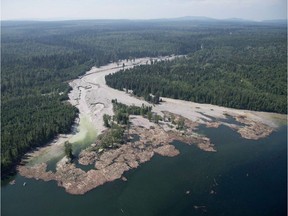 Imperial Metals spent millions rehabilitating Hazeltine Creek from this damage caused when the Mount Polley mine tailings dam collapsed.