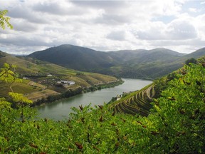 One of the world’s greatest wine treasures is the Douro Valley in Portugal.