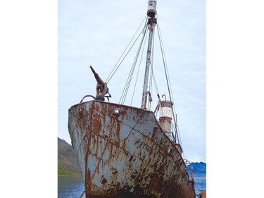 GRYTZVIKEN, South Georgia (Feb. 8, 2018) – The Petrel is one of the abandoned whaling ships that line the shore of Grytzviken, South Georgia. This was once the largest and busiest processing plant on the island. The harpoon gun is still on the bow of the ship.