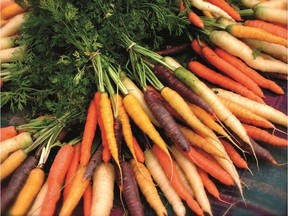 Which colour did you get?! Kids will have a fun surprise when they pull 'Rainbow Blend' carrots out of the garden.