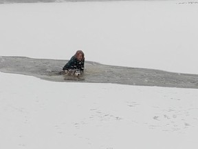 A local pooch is lucky to be alive after falling through the ice at Vancouver's Trout Lake and being saved from drowning by a Good Samaritan.
