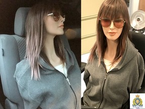 RCMP traffic officers pulled over a driver who was using a mannequin in the passenger seat in order to travel in the HOV lane.