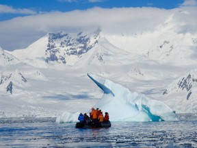 The iceberg graveyard in Petermann Bay in Antarctica provides plenty of opportunity for whales, seals, penguins and other seabirds to feed along with unlimited opportunities for photographs.