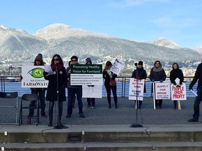 Laura Gillanders of Richmond FarmWatch speaking at a housing affordability rally at Jack Poole Plaza in Vancouver on Sunday.