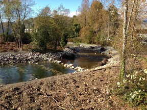 August 7 2017 A restoration project at Mackay Creek on the North Shore was made possible as a result of a court award to the Habitat Conservation Trust Foundation resulting from a 2007 oil spill into Burrard Inlet. This is after the restoration. Photo credit: HCTF [PNG Merlin Archive]