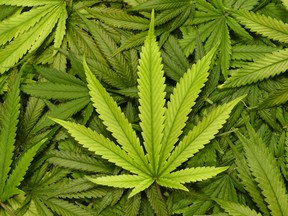 The legalization of marijuana has implications.