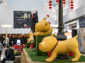 Shoppers stroll by the display of 10 golden dogs in the East Galleria at Oakridge Mall.