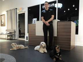 Jason Meyer, who has opened a dog lounge for small dogs where they can play while owners have tea and coffee, poses with some of the canines in Richmond on Sunday. He’s planning a singles night for early March for small dogs and their owners.