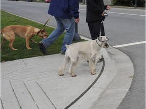 A motion to prioritize the installation of curb ramps at about 6,000 spots across the city of Vancouver was unanimously carried last week. A dog and his walker are pictured in Vancouver next to a curb ramp in this 2012 file photo.