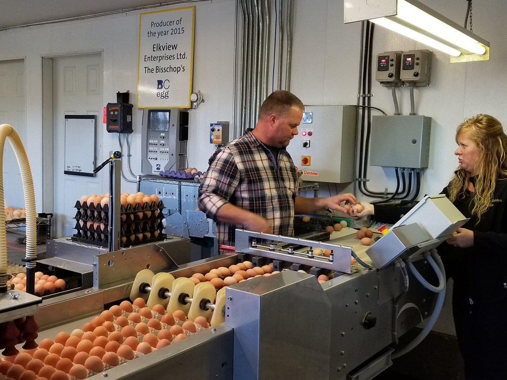 SPONSORED CONTENT B.C. egg farmers have a story to tell Vancouver Sun