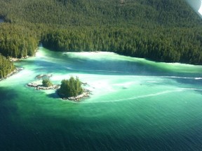 Herring spawn turns the water milky white on the central coast.