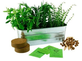 Italian herbs gardening kit. $22 | Indigo