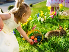 A young girl hunts for Easter eggs on a beautiful spring day.
