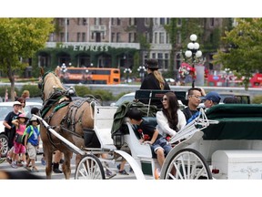 A horse-drawn carriage traverses the streets of Victoria's touristy Inner Harbour during the summer.