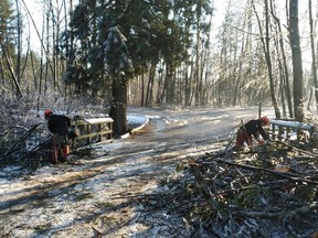 Metro Vancouver regional parks crews clear the main access road at Aldergrove Regional Park following ice storms that brought down trees and branches in the park.