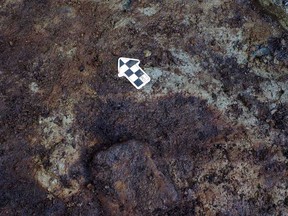 Dozens of ancient footprints discovered on a British Columbia island have been confirmed as the earliest known of their kind in North America.