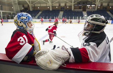 Canadian Olympian Danielle Dube (left) and musician Grant Lawrence chat by the bench as the Juno Cup players take to the ice for a practice at the Bill Copeland Sports Centre in Burnaby on March 22, 2018.