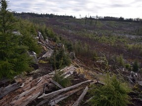 A sensitive ecosystem that was destroyed by logging in Haida Gwaii will be restored after the Nature Conservancy of Canada and Haida Nation acquired the land. Two parcels of land spanning 67 hectares near Port Clements, a village at the east end of Masset Inlet, were the last unprotected areas along the Kumdis Estuary.