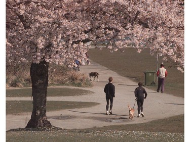 April 8, 2001: it was another wonderful Sunday in Vancouvers Vanier Park.  Sunny and warm, folks took to the beaches and parks to enjoy the amazing weather.