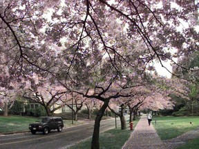 B.C. will experience spring-like conditions ahead of the rest of the country.