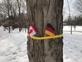 The Canadian and German flags tied to a tree planted in 1977 by Belgium's Queen Fabiola.