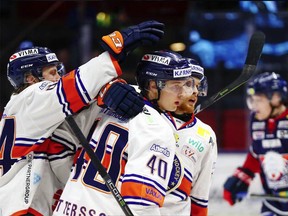 Elias Pettersson is congratulated after a goal by his Vaxjo Lakers teammates.