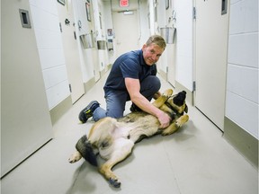 VPD's kennel attendant Rob Szpak gives Jack of the canine unit a belly rub at the unit's Evan Avenue facility.