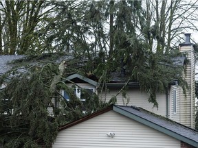 Jill Calder was asleep in her home on Alpine Place in Port Moody on March 10, 2016 when a 35-metre hemlock tree came crashing through the roof and killed her.