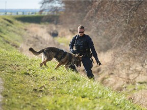 Police search for clues after a man in his 70s was pulled from the water but later died in Richmond, BC, March 11, 2018.