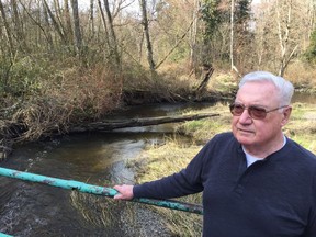 Bob Donnelly, president of the Semiahmoo Fish and Game Club, next to the threatened Little Campbell River in South Surrey.
