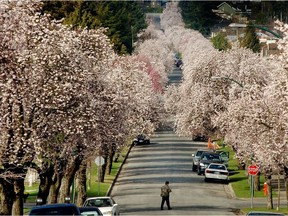 Environment Canada is predicting a mix of rain and sunshine over the next few days in Metro Vancouver.