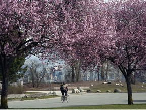 Soak up the sunny, spring weather on Tuesday. The rain returns on Wednesday in Metro Vancouver.